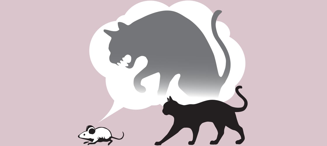 A mouse, pursued by a relaxed cat, is imagining that its adversary is much more fearsome than it is.