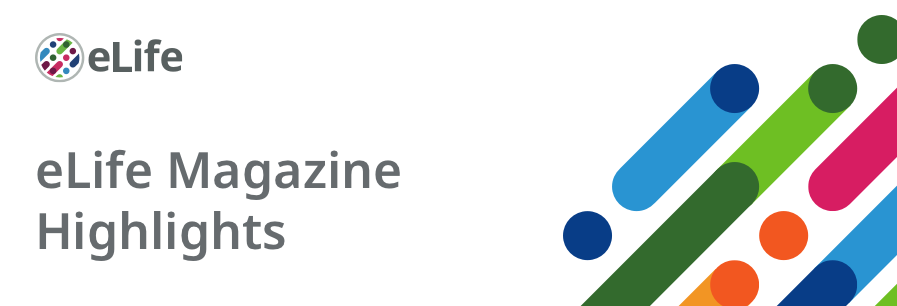 Magazine-highlights-header-2