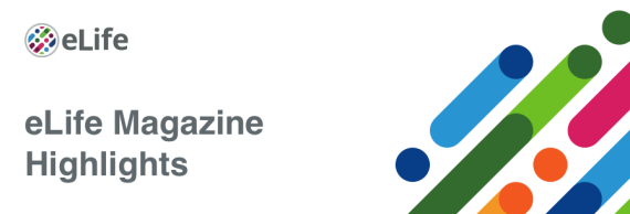 eLife Magazine Highlights